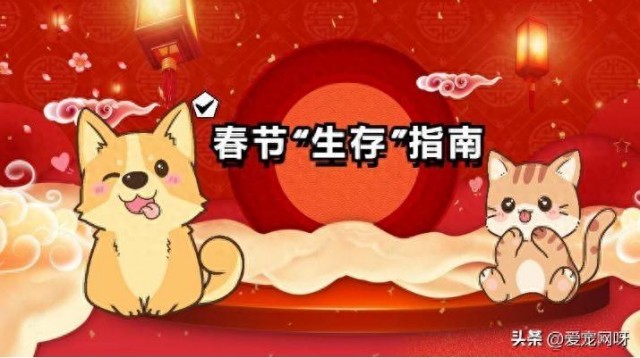 干货分享：宠物新年“生存”指南，一篇足够应对整个春节！